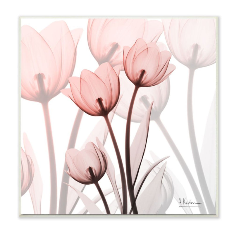 "Red Floral Silhouettes" par Albert Koetsier - reproduction d'art, H 12 po x l 12 po x P 0,5 po, Plaque murale