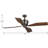 Chapin 56'' Ceiling Fan-614314131