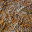 Ardmore Velvet Fabric-1038597140