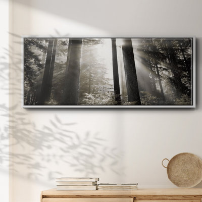Lumière du matin - toile encadrée