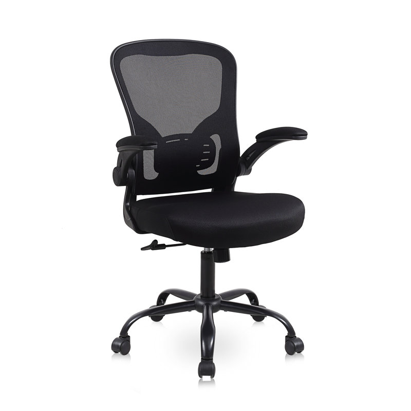 Ishwaq Task Chair