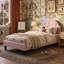 UK & EU Kids Velvet Bed Frame, Scalloped Shell Upholstery Bed with Height-Adjustable Headboard, Beige/Pink-2098748971-2109734720