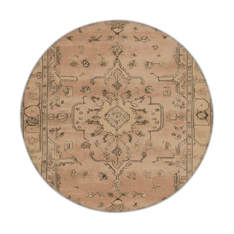 Tapis intérieur et extérieur brun Overdyed, Rond 5 pi