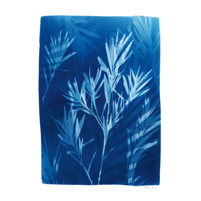 Cyanorphe tropical III - impression sur toile tendue