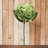 Roper Silk Hydrangea Arrangement