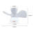 22 In LED Ceiling Fan Light