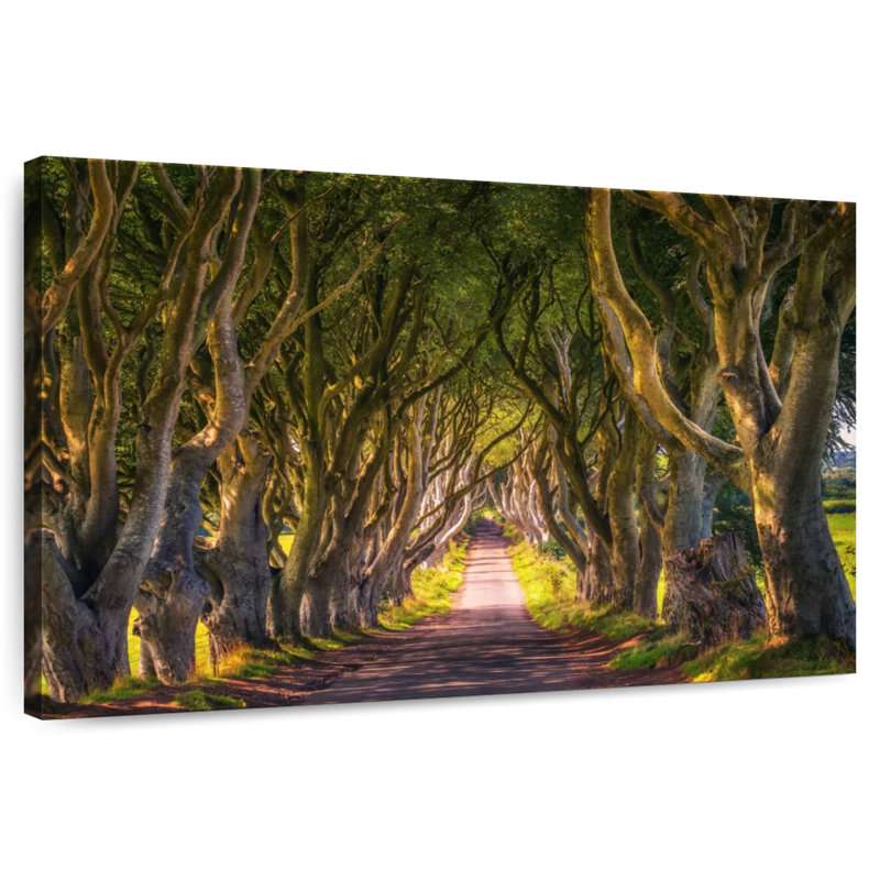 Alvord Tree Tunnel, 34" H x 51" W