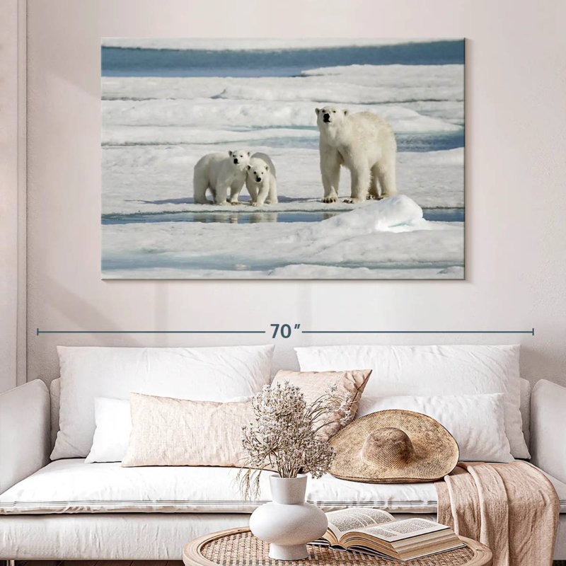 Ours polaires Brampt Longyearbyen