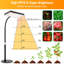 Ivy Bronx Grow Light