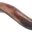Polished Kudu Horn on Acrylic Display Base