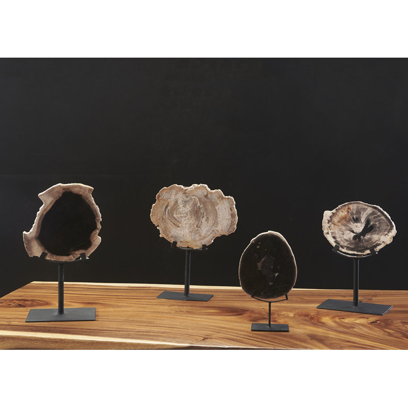 Elements Petrified Wood Slice On Stand