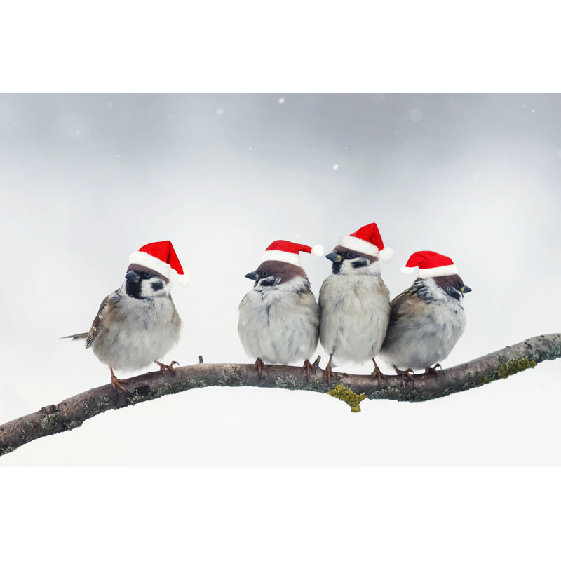 Funny Christmas Birds by Nataba - Wrapped Canvas Print, 30cm H x 46cm W