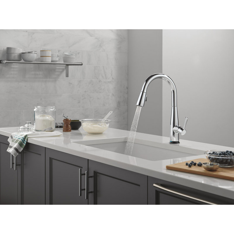 Essa Voice Activated Touchless Kitchen Faucet with Touch Technology, Chrome Smart Kitchen Sink Faucet with Pull Down Sprayer, Chrome