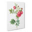Turnip Rose In Pink by Pierre-Joseph Redoute - Wrapped Canvas Painting-55361683