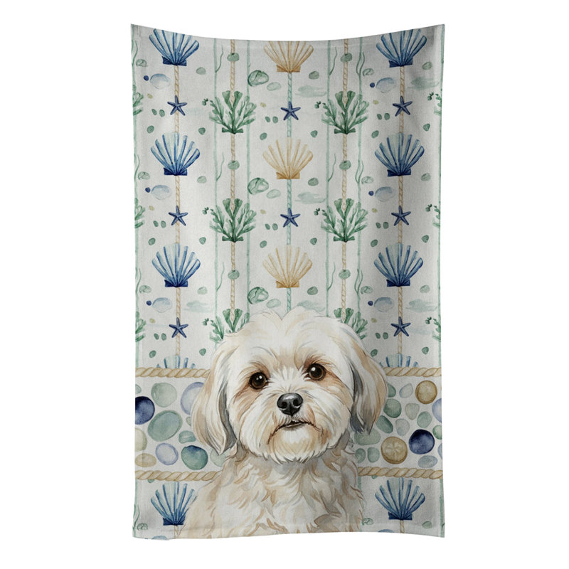 Torchon blanc Lhasa Apso, Lhasa Apso blanc