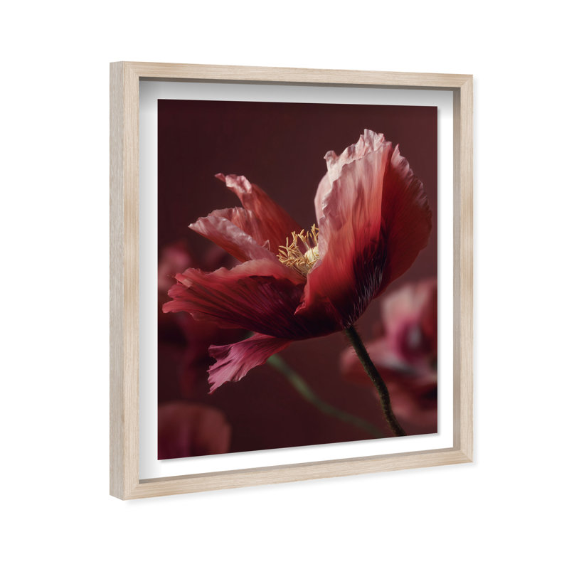 Merlot Blush Blossom II Shadowbox Floral & Botanical Print by Oliver Gal, Black Frame, 16 x 20, 21.5"H x 25.5"W