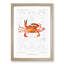 West African Crab by Albert I - Framed Print-55641109-55641113