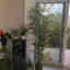 Photos des clients 1 de 1