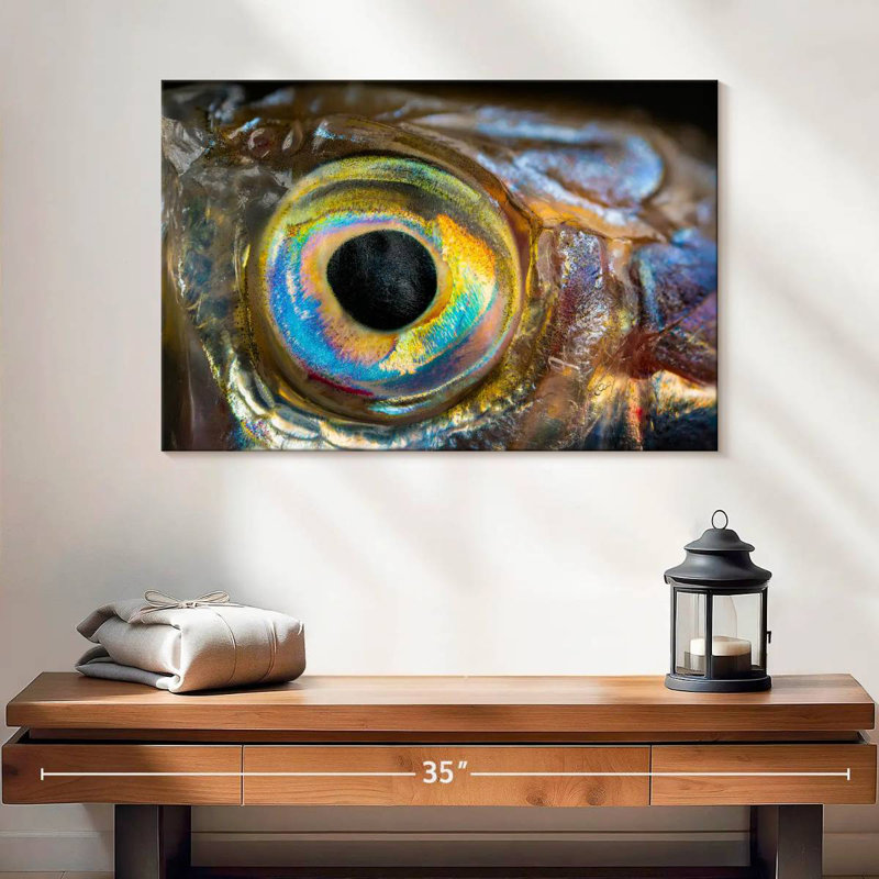 Brampt Iridescent Fish Eye, 16'' H x 24'' W