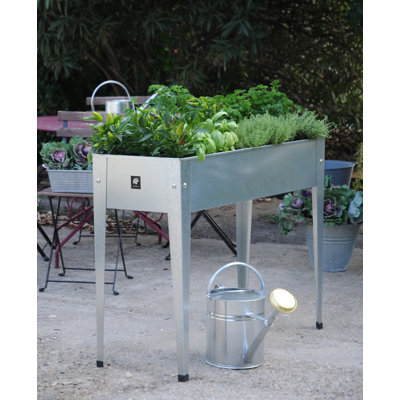 Jardinière surélevée en métal galvanisé Herstera