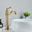Antique Brass Mono Bathroom Basin Sink Mixer Taps 360° Swivel Spout Single Level