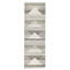 Canyon Geometric Shapes Area Rug in Gray