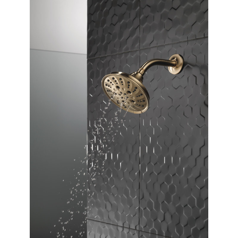 Rain Dual Shower Head with H2Okinetic Technology, Champagne Bronze