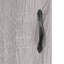 Kimballton Iron 3 - Door Standard Accent Cabinet-1381258061
