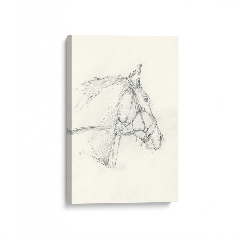 «Bridled Horse Courir croquis I» par Ethan Harper, reproduction d'art, Sans objet, H 48 po x l 36 po, Toile tendue