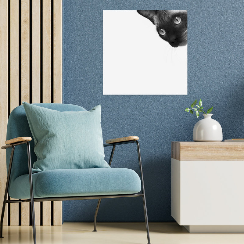 «Be Brave», art contemporain pour chat, H 18 po x l 18 po