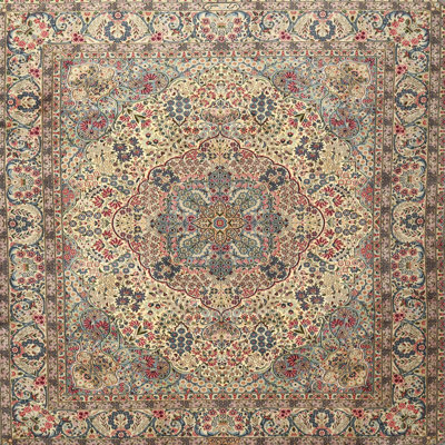 Oriental Indoor Rug