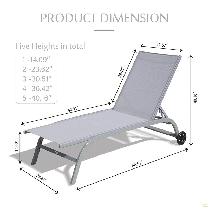Ensemble de 2 chaises longues d'extérieur, Gris, Gris