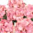 Hydrangea Arrangement-1932390652