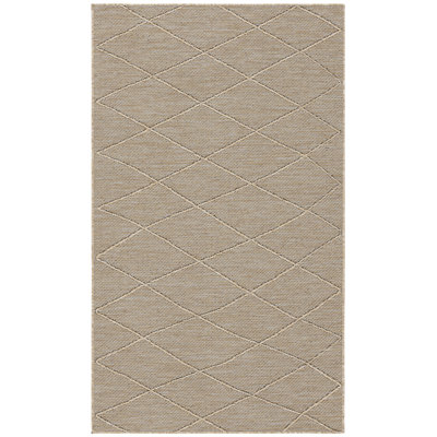 Machine Washable Indoor/Outdoor Area Rug