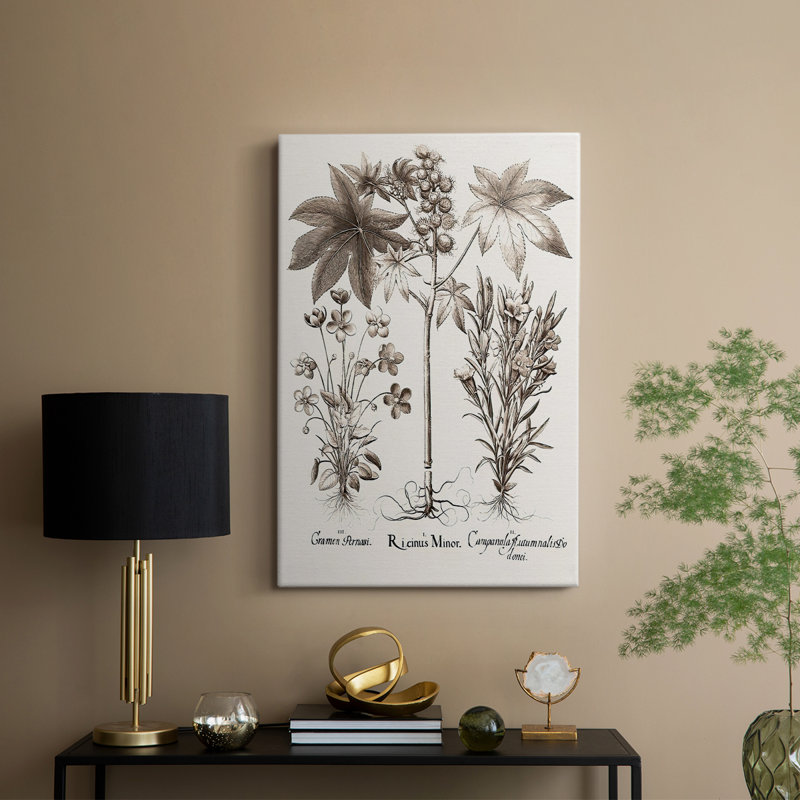 Sépia Besler Botanicals VI - galerie sur mesure Cavas, H 36 po x l 24 po