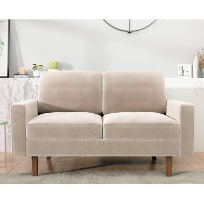 Noreen 57.9 " Velvet Loveseat