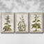 «Munting Botanicals IV», ensemble de 3 toiles encadrées-97709102-97709107