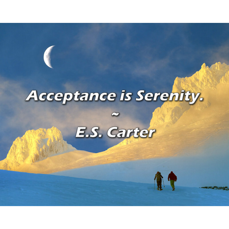 E.S. Carter Quote: Acceptance is Serenity.