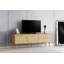 Shamong TV Stand-1101642575
