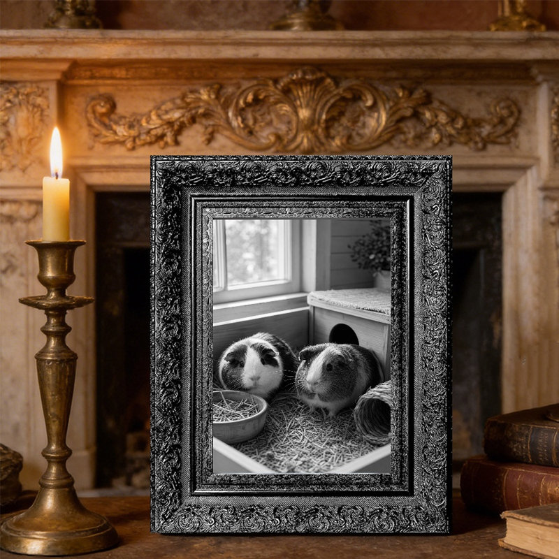 Cadre 3 photos noir pour la maison 5 pi x 7 po