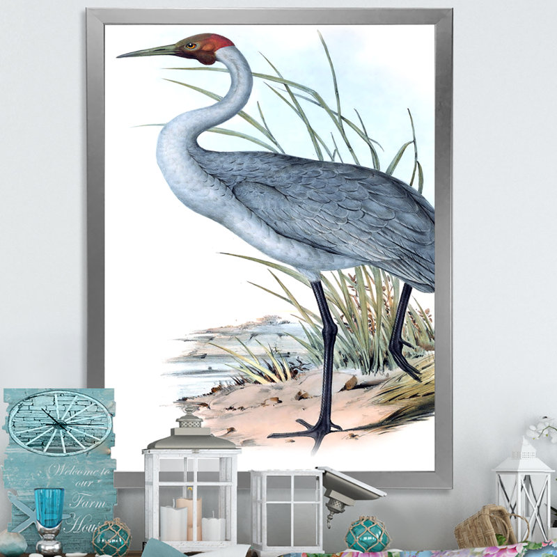 «Vintage Australian Birds V», impression sur toile encadrée, Encadrement argenté, H 20 po x l 12 po x P 1po