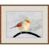 Back Country Bird Study 6 Print