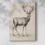 Imprimé animalier rétro III - galerie Cavas-1526801825