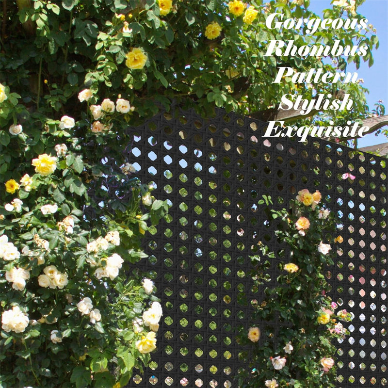 Metal Privacy Screen