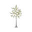 150cm Plant