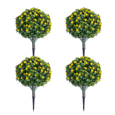 60cm Plant