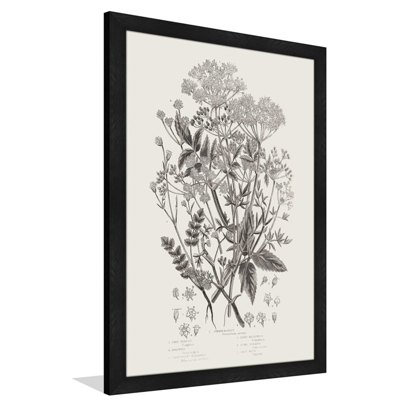 Plantes à fleurs I neutre - Peinture, L 21,5 po x H 27,5 po, Cadre noir