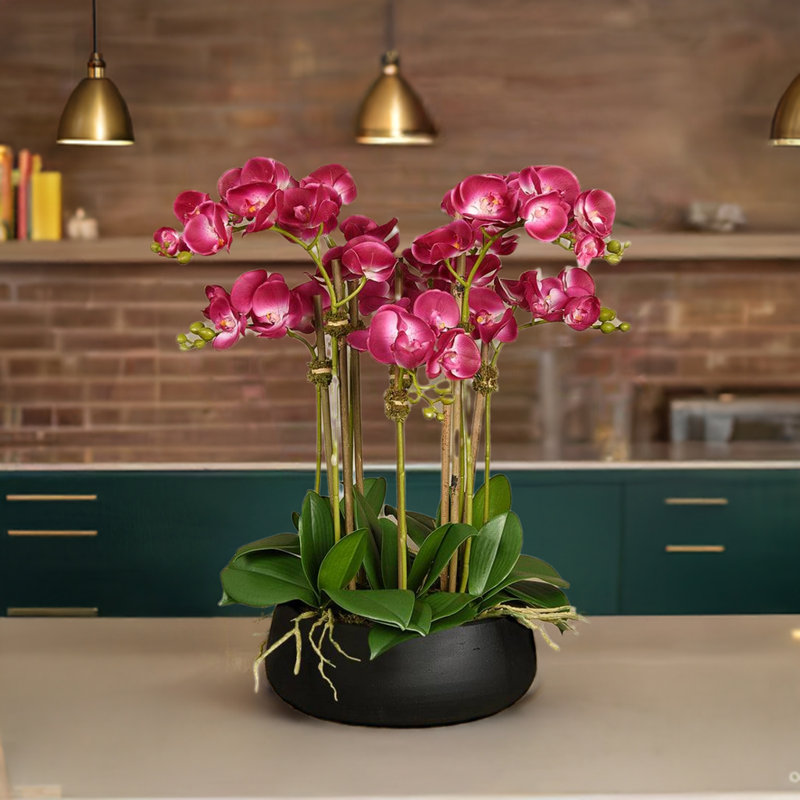 Arrangement floral orchidée en pot, Rose, Noir, 24 po x 18 po
