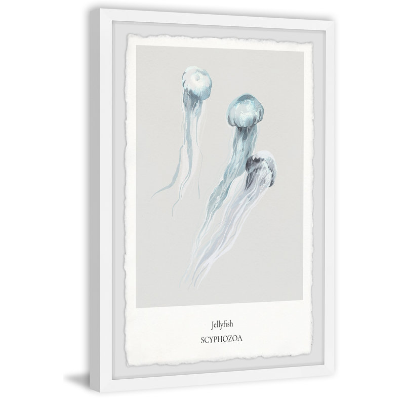 Scyphozoa - Single Picture Frame Print, 45cm H x 38cm W x 3.81cm D