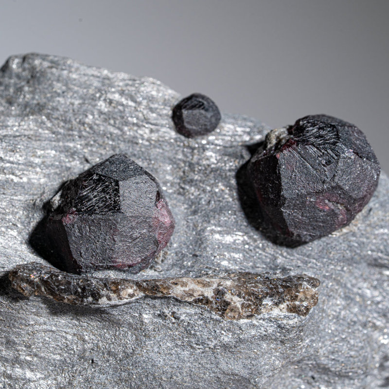 Garnet In Graphite From Erving, Franklin County, Massachusetts